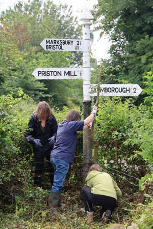 Finger post sign project